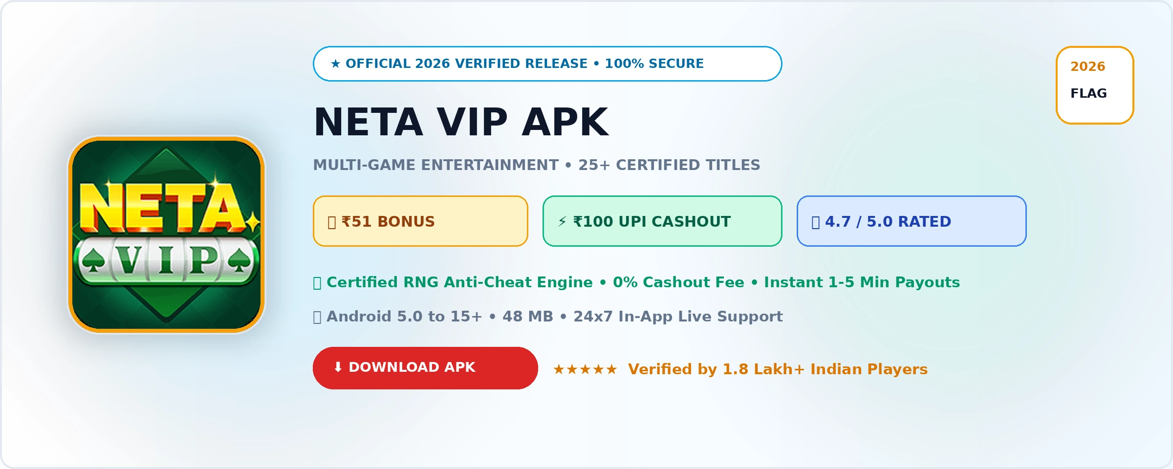 Neta VIP Official 2026 Game Banner